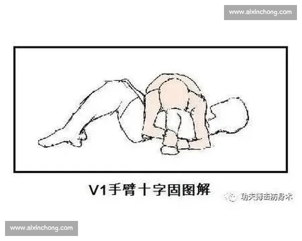 综合格斗地面降服技法全解析从裸绞到十字固的实战制胜训练秘诀
